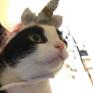 Meet your Posher, Abbey